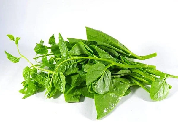 Dùng mồng tơi chữa táo bón cho trẻ