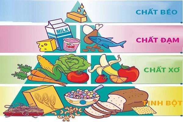 Duy trì chế độ ăn uống cân bằng cho trẻ