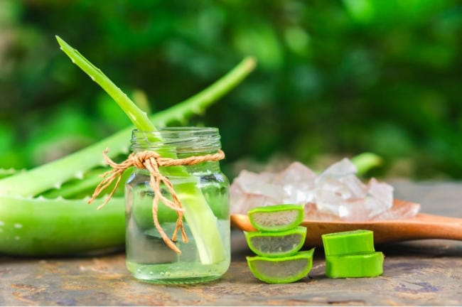 Nước ép nha đam cho trẻ bị táo