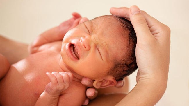 Có nên tắm lá đinh lăng cho trẻ sơ sinh?