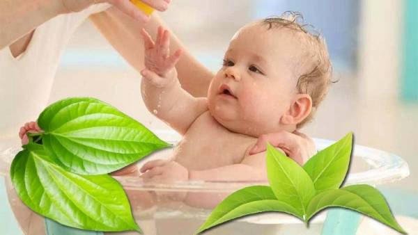 Có nên tắm lá trầu không cho trẻ sơ sinh? Hướng dẫn cách tắm an toàn