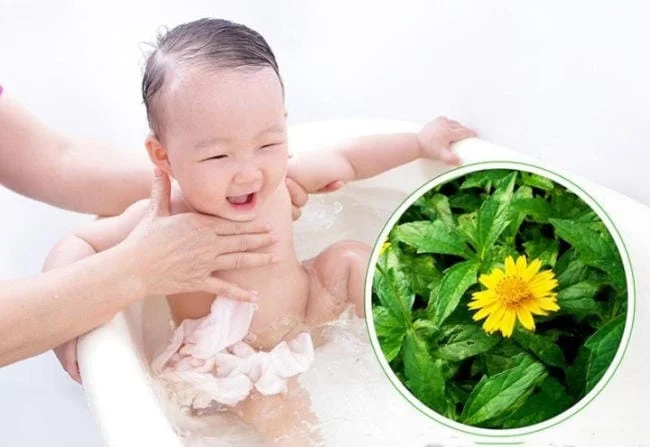 Lá sài đất rất tốt cho trẻ bị mẩn ngứa