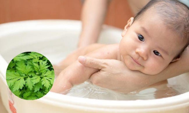 Có nên tắm lá ngải cứu cho trẻ sơ sinh không?