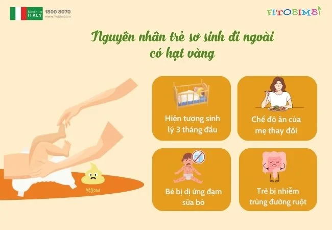 nguyen nhan tre so sinh di ngoai co hat vang