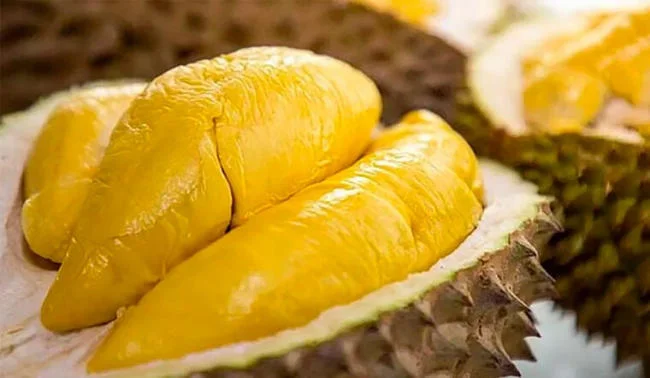 Sầu riêng không tốt cho mẹ bỉm đang nuôi con bú