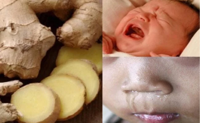 Tắm nước gừng cho trẻ sơ sinh bị cảm và ho trong vài ngày