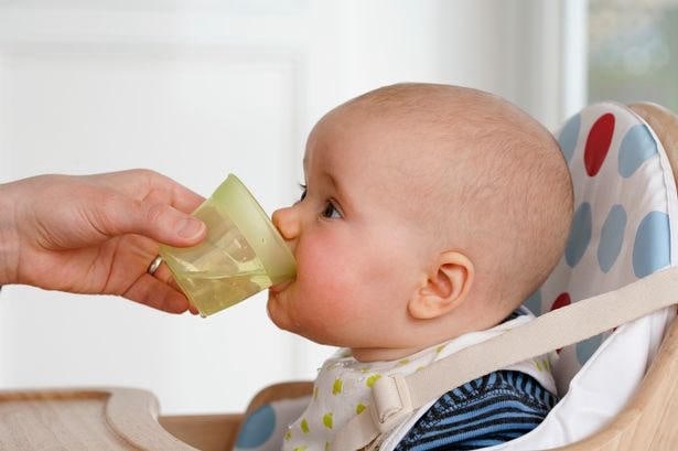 Trẻ uống nước sớm có nguy cơ nhiễm độc