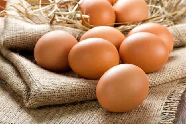 Trứng rất giàu protein