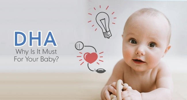 Có nên bổ sung DHA cho trẻ 6 tháng tuổi không?