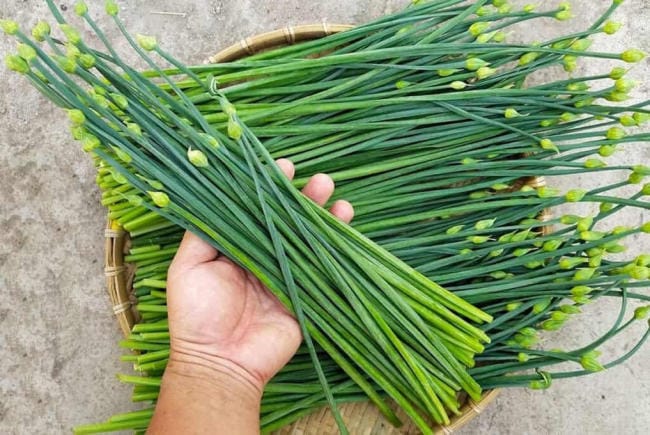 Rơ lưỡi cho bé bằng lá hẹ