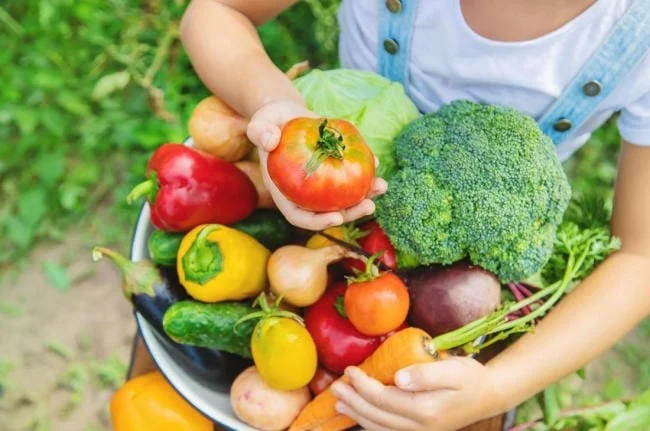 Ưu tiên thực phẩm dễ tiêu cho bà bầu