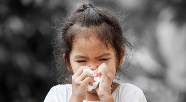 Trẻ bị viêm mũi dị ứng gây nghẹt mũi nhưng không chảy nước mũi