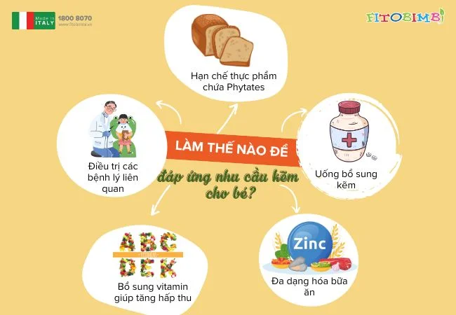 Đáp ứng nhu cầu kẽm cho bé như thế nào