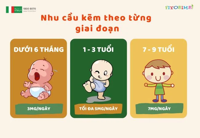 Nhu cầu kẽm ở trẻ theo từng giai đoạn