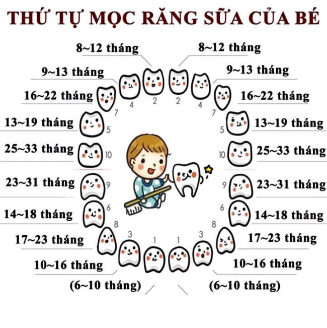 Theo dõi quá trình mọc răng của bé