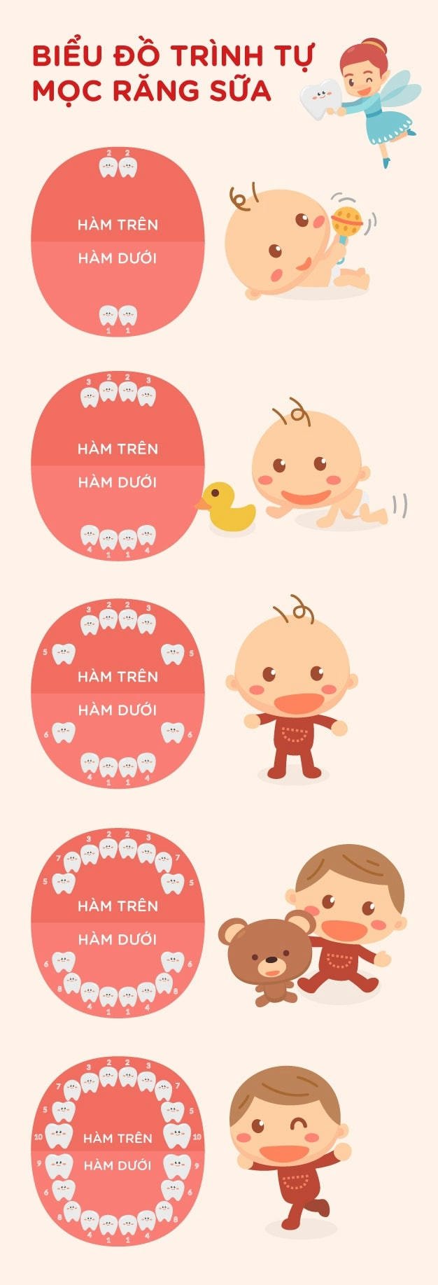 Thứ tự mọc răng sữa của bé