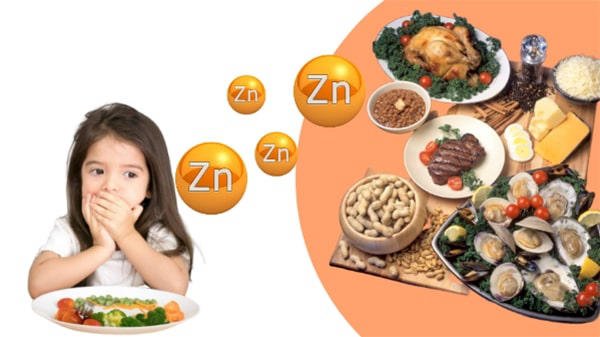 Trẻ thiếu kẽm sẽ gây ảnh hưởng không nhỏ đến sức khỏe và sự tăng trưởng