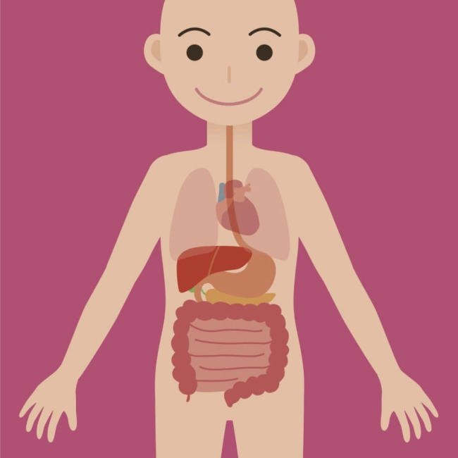 Hỗ trợ tăng cường tiêu hóa