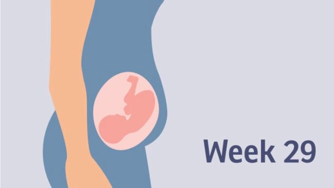 thai 29 tuần nặng nề bao nhiêu