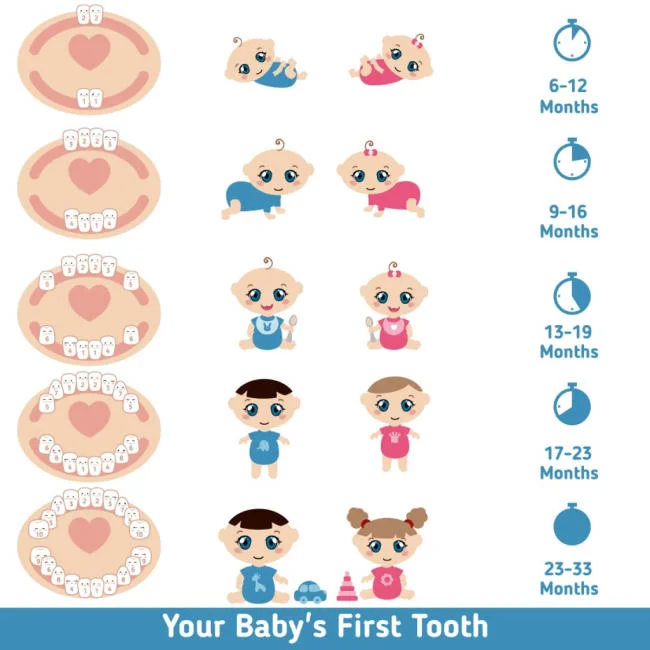 Thứ tự mọc răng của bé