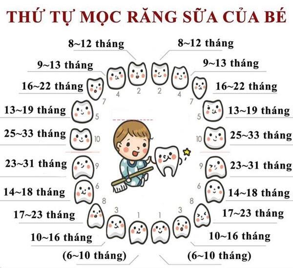 Trình tự mọc răng sữa của bé