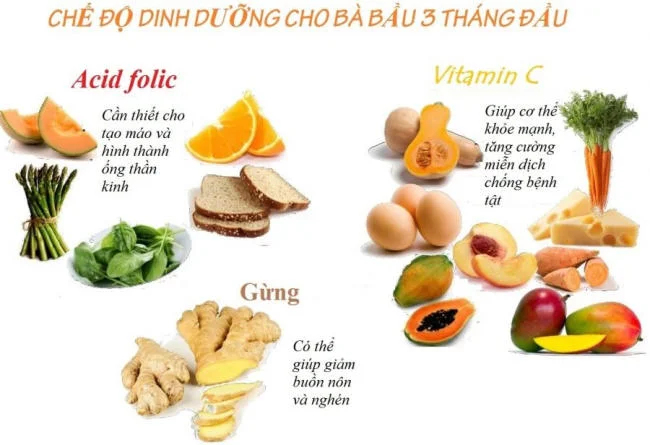 Chế độ dinh dưỡng của mẹ bầu 3 tháng đầu
