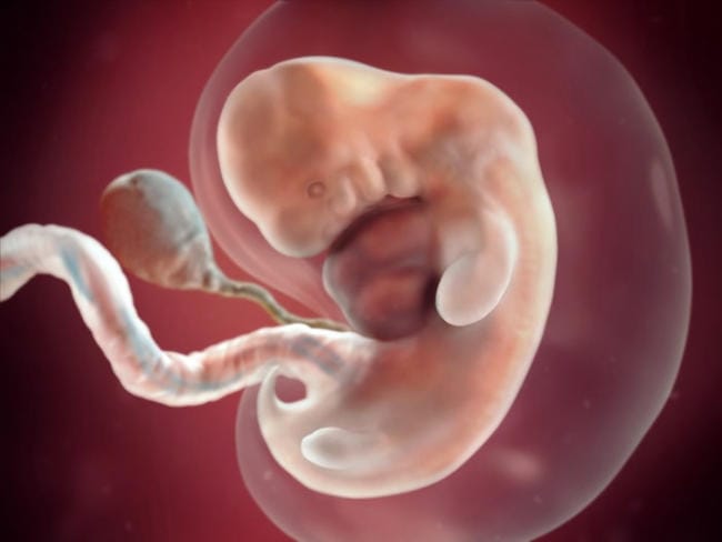 Tuần 7: Các đặc điểm trên khuôn mặt phát triển