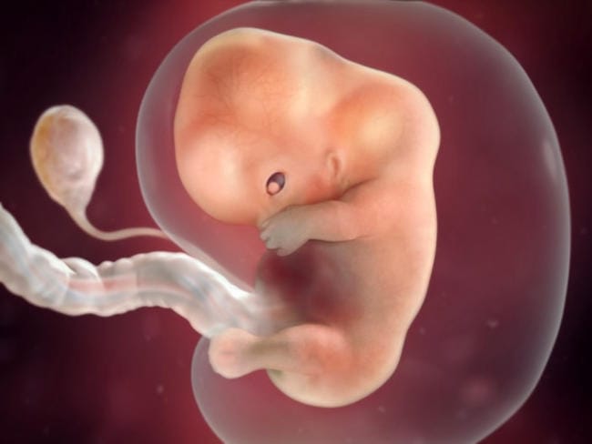 Tuần 9: Mí mắt hình thành, ngón chân xuất hiện