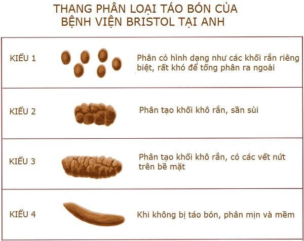 Thang phân loại táo bón