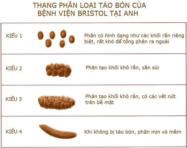 Thang phân loại táo bón