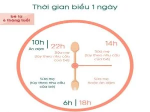 Thời gian biểu của bé 6 tháng nhìn chung không có sự thay đổi qua các tuần