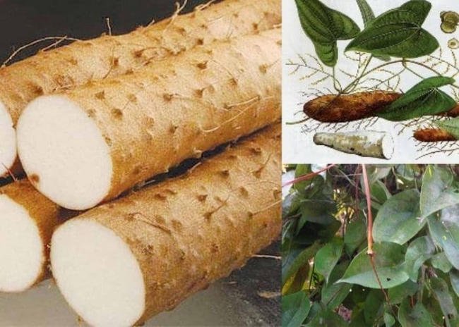 Chữa đái dầm ở trẻ với củ mài