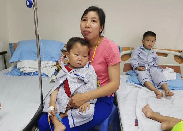 Các Thể Bệnh Thalassemia: Nguyên Nhân, Triệu Chứng và Phòng Ngừa