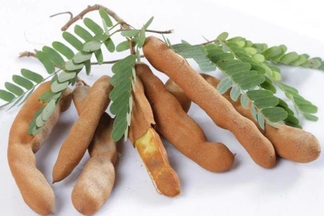 Me chua không tốt cho phụ nữ sau sinh