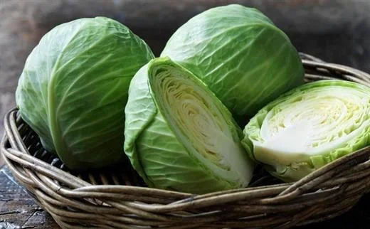 Mẹ nuôi con bú cần hạn chế ăn bắp cải