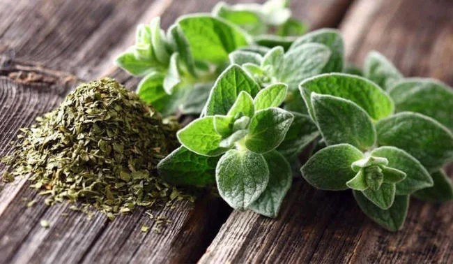 Mẹ nuôi con bú cũng cần hạn chế dùng Organo