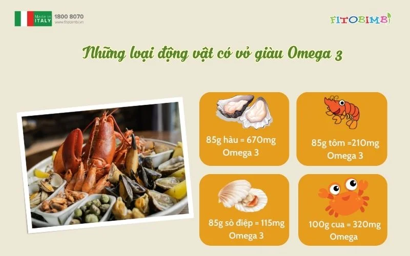 Ngoài kẽm động vật có vỏ còn giàu Omega 3